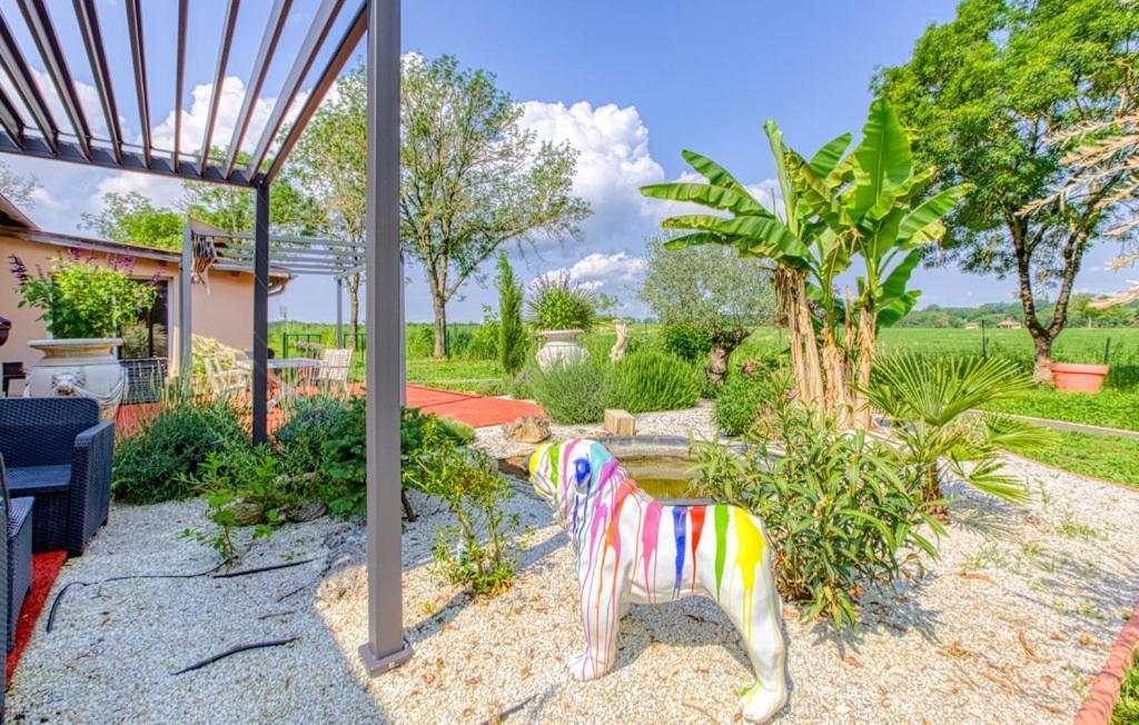 Studio Du Daudou Septfonds Dış mekan fotoğraf